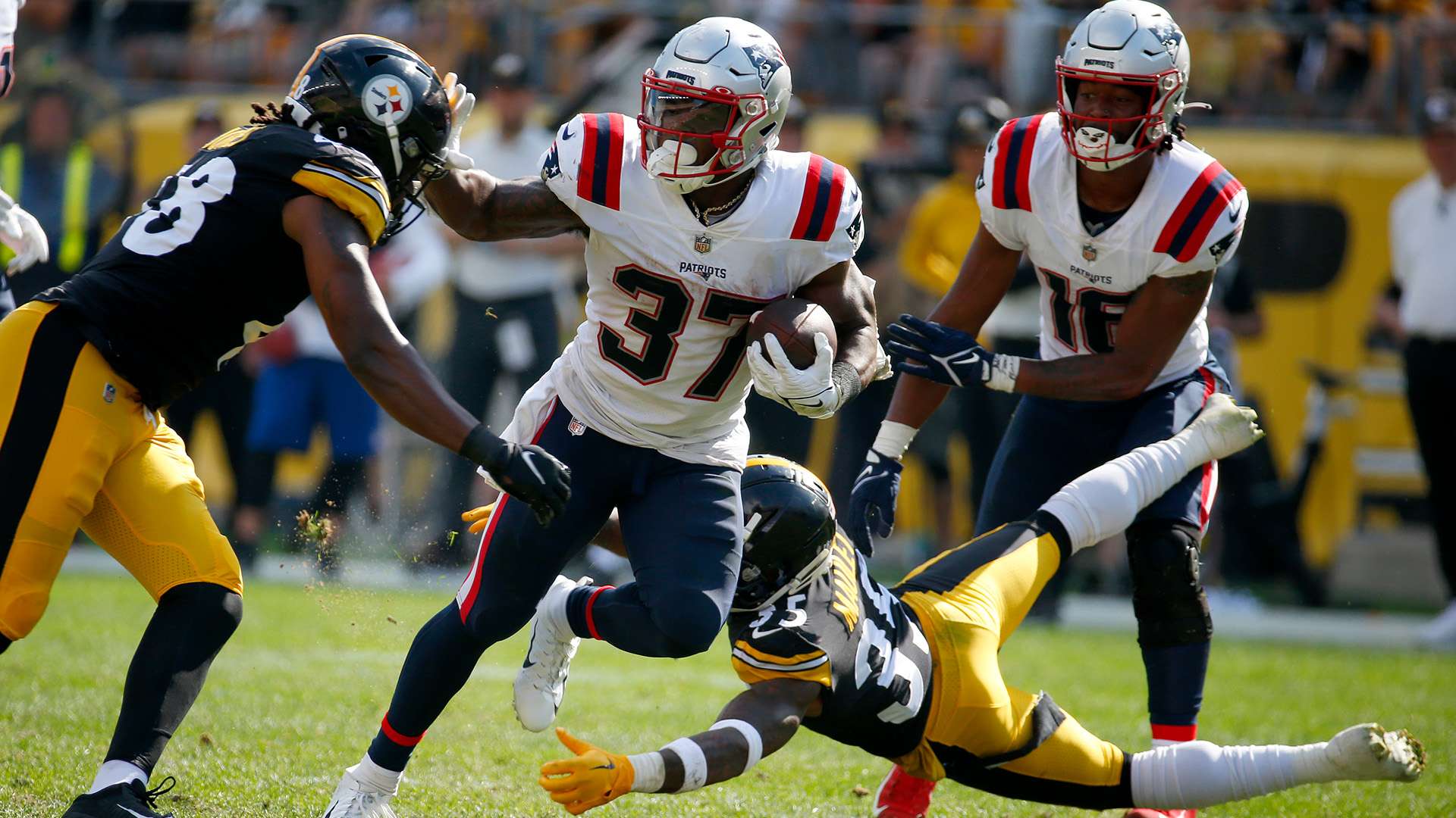 高的水准 高的水准